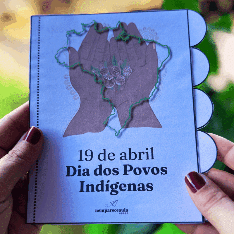Livrinho interativo povos indígenas