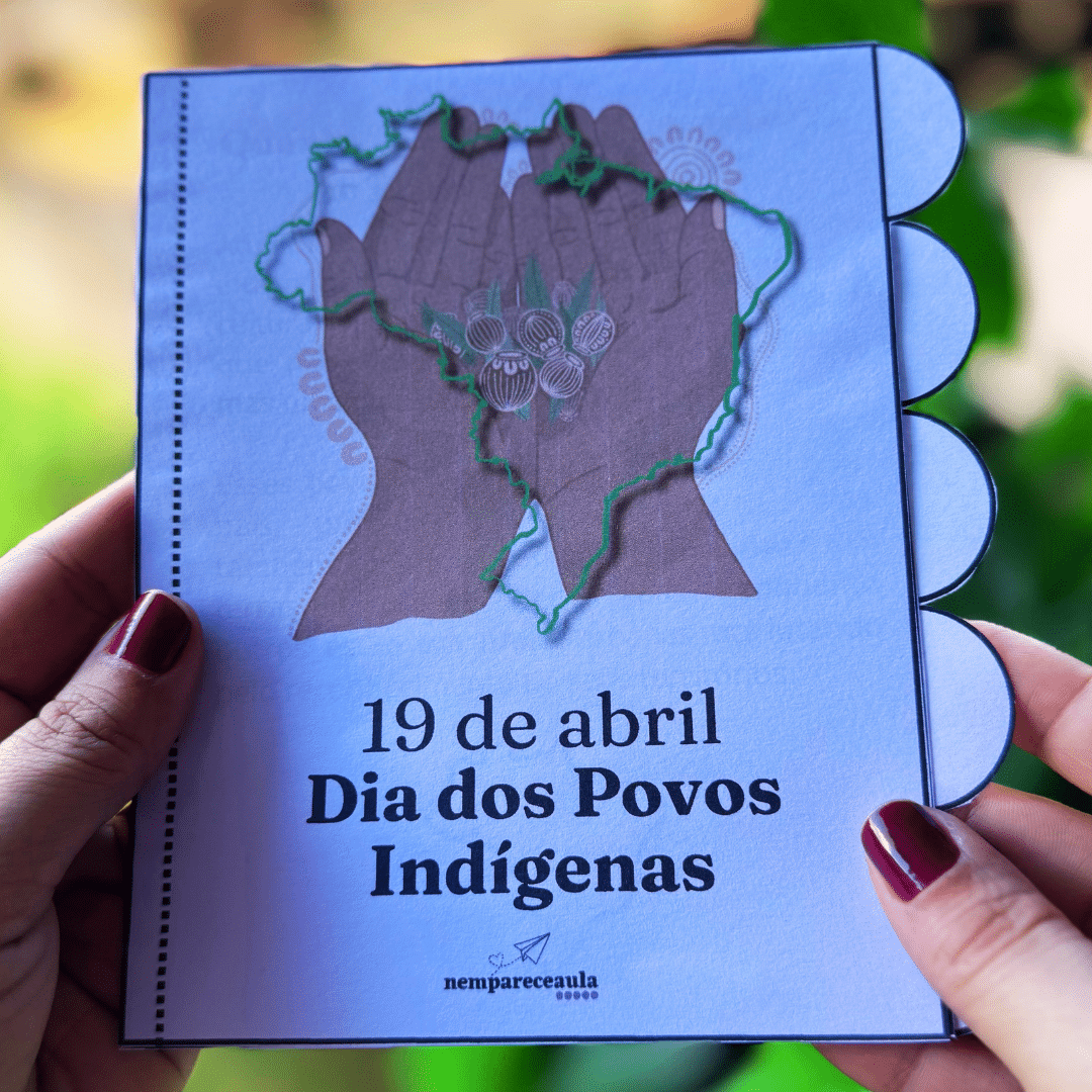 Livrinho interativo povos indígenas